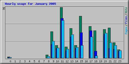 Hourly usage for January 2005